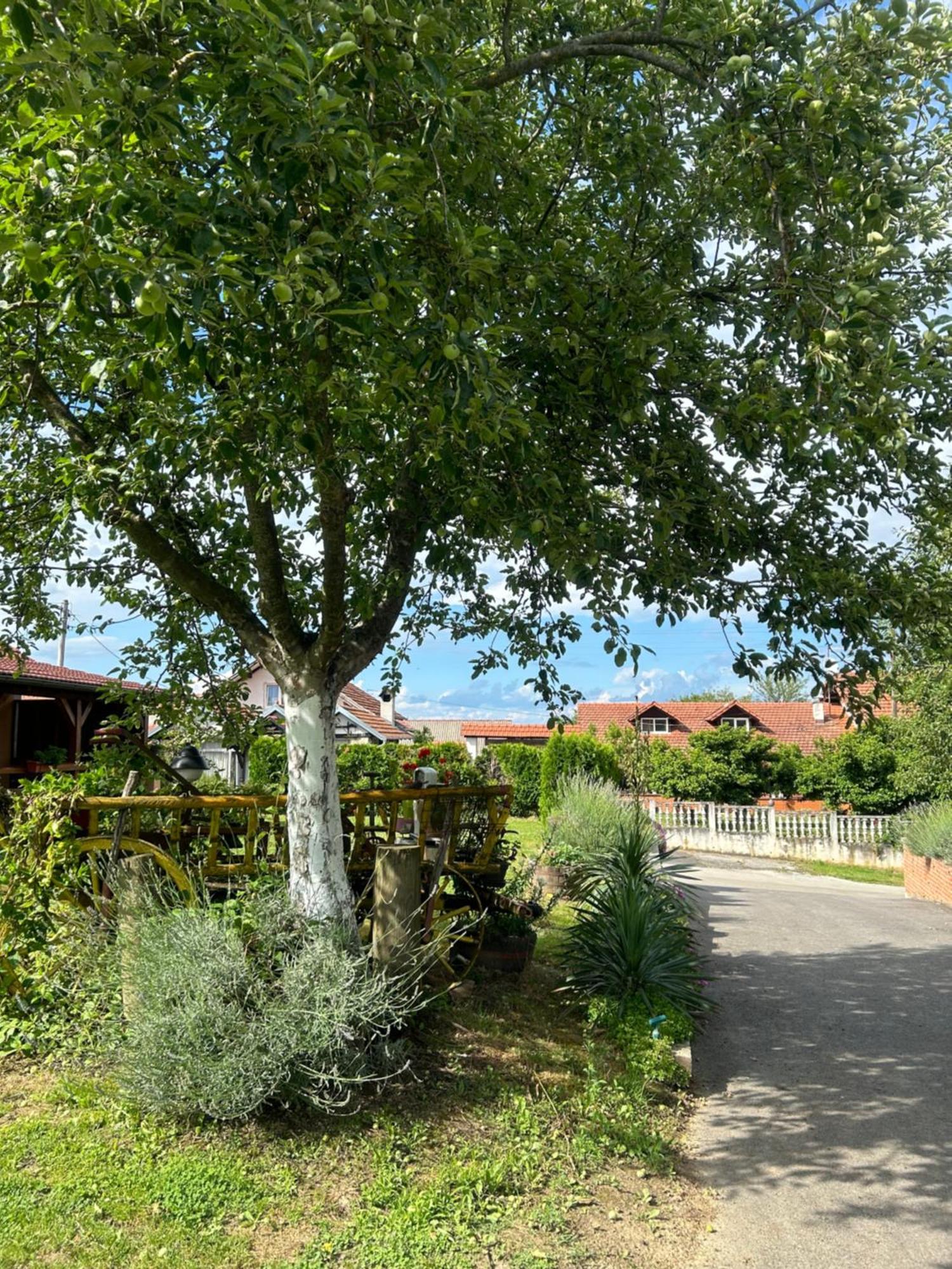 Camping Lukac Kutina Extérieur photo