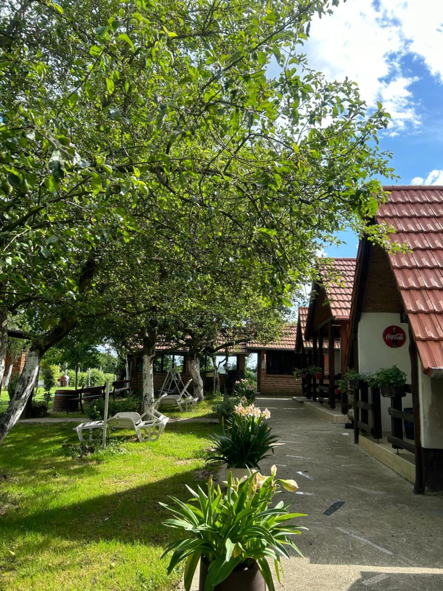 Camping Lukac Kutina Extérieur photo