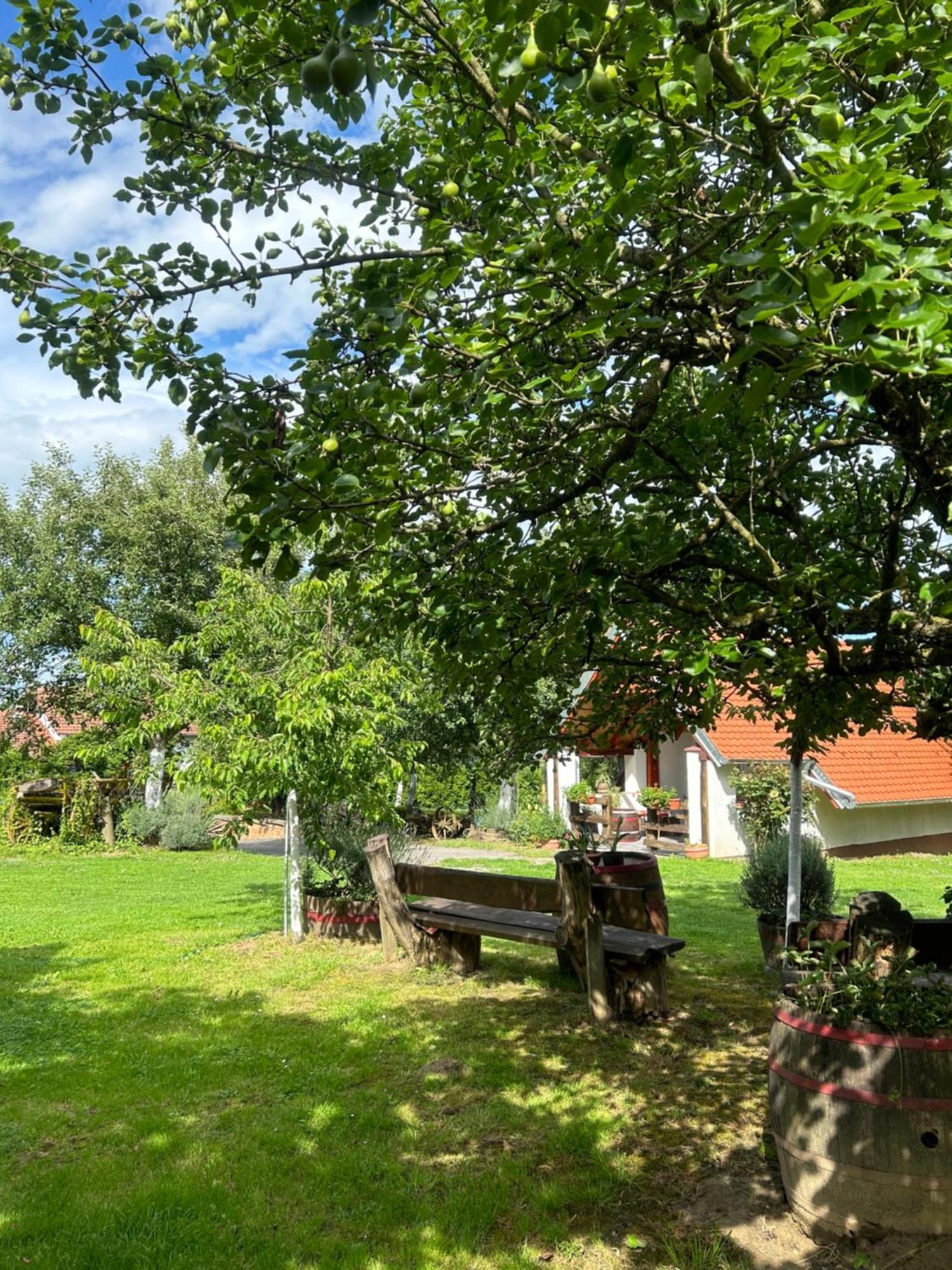 Camping Lukac Kutina Extérieur photo
